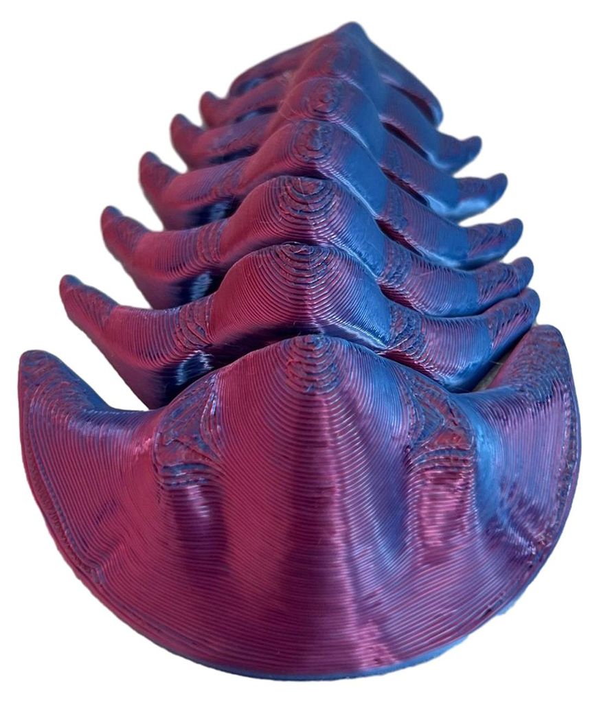 3D-gedruckte Cryptolithus-Figur, bewegliches Trilobita-Fidget-Toy, Calymenina-Modellstatue, Dekoration für Zuhause, Büro oder Schreibtisch.