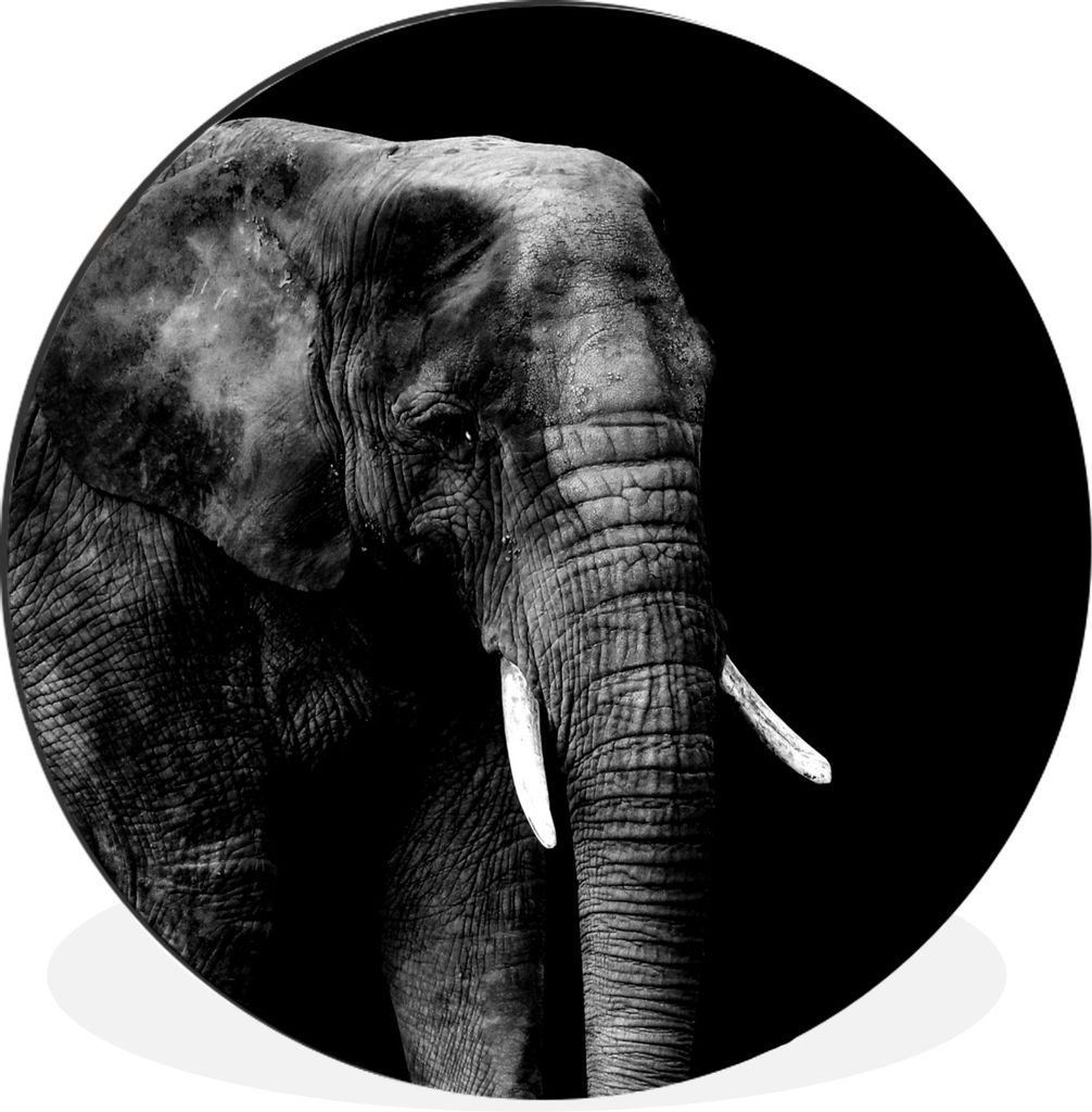 MuchoWow Aluminium Wandkreis Elefant - Tiere - Schwarz - Weiß Ø 90 cm Wanddeko Modern Wohnzimmer - Mauerkreis - Wandbilder - Runde Bild - Bild ...