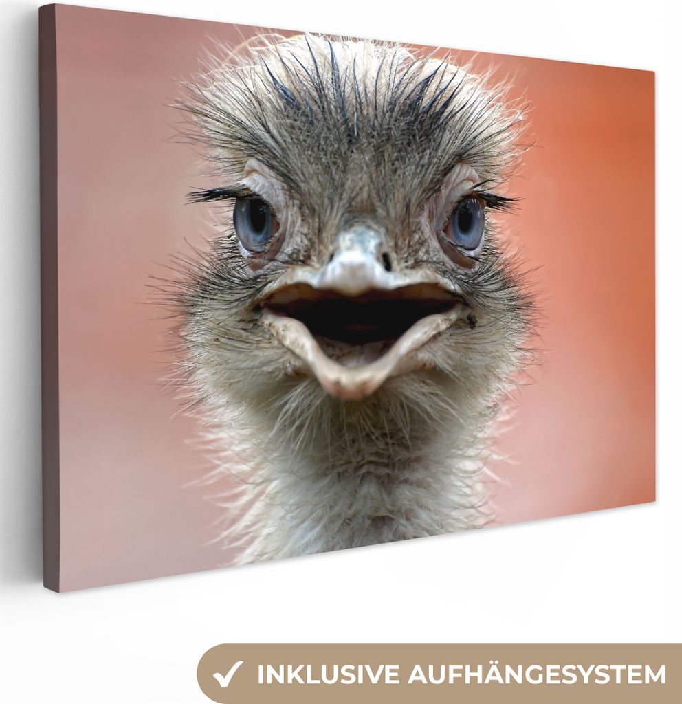 OneMillionCanvasses - Leinwandbilder - 150x100 cm, Strauß - Tiere - Makro, Wandbilder Kunstdruck Wanddekoration
