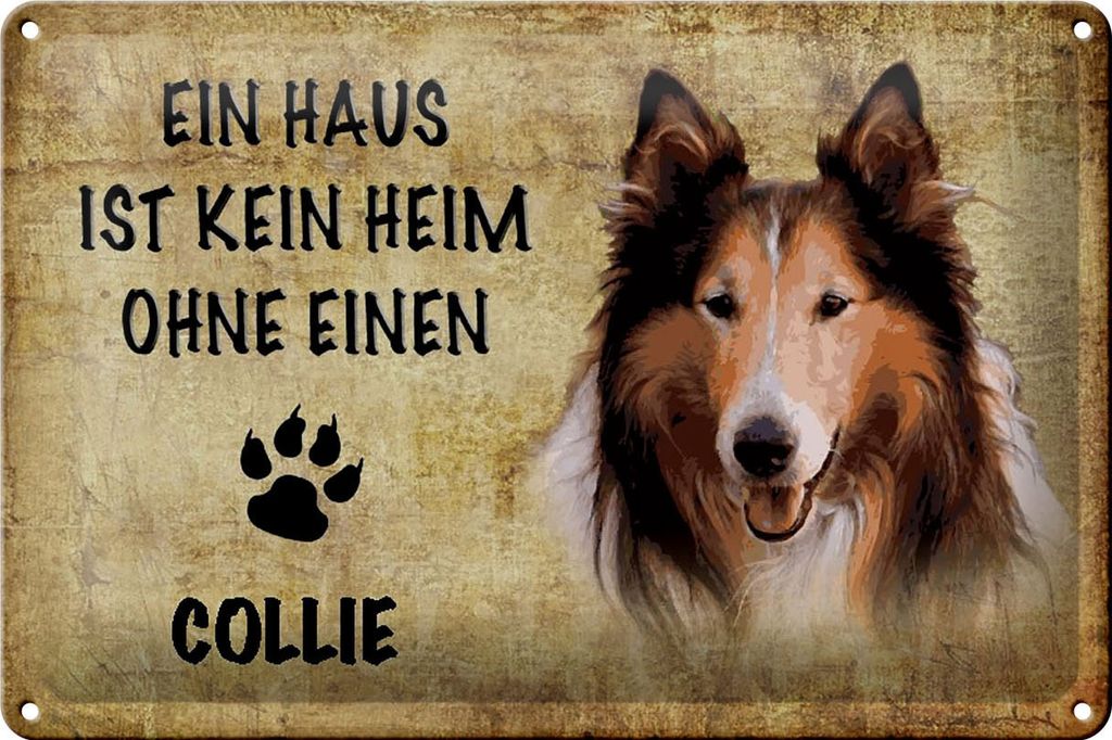 Blechschild Spruch 30x20cm Collie Hund ohne kein Heim