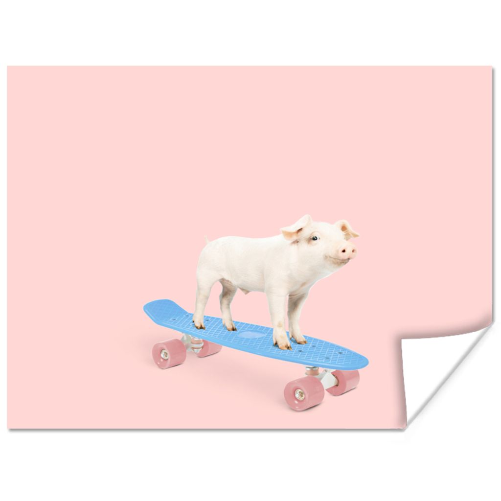 MuchoWow Poster Schwein - Rosa - Skateboard - Blau - Tiere 160x120 cm - Foto Plakat