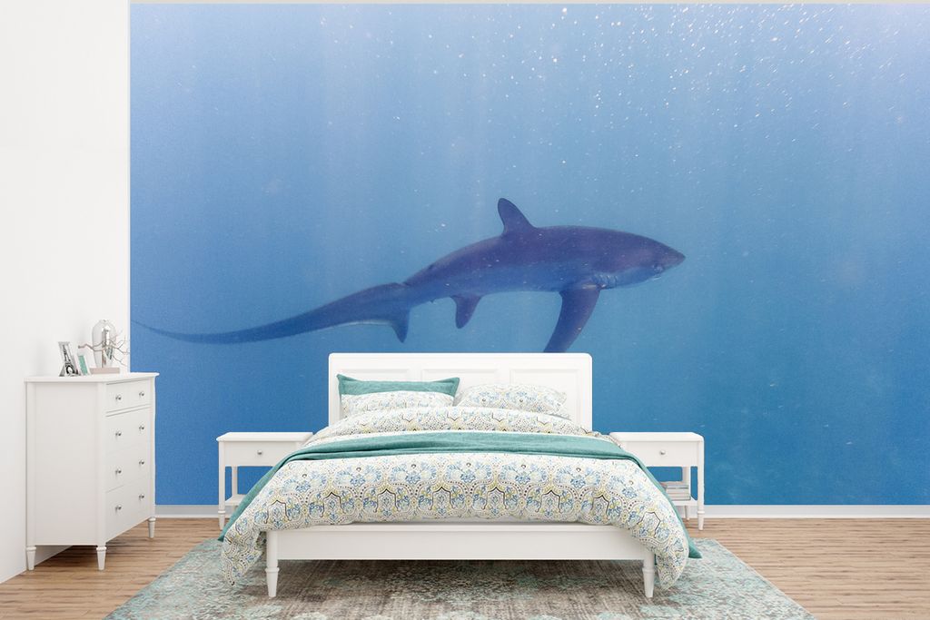 MuchoWow Fototapete für Wohnzimmer oder Schlafzimmer Wandtapete Vinyl Motivtapete Alopia-Hai - 350x260 cm - Wohnzimmer-Tapete