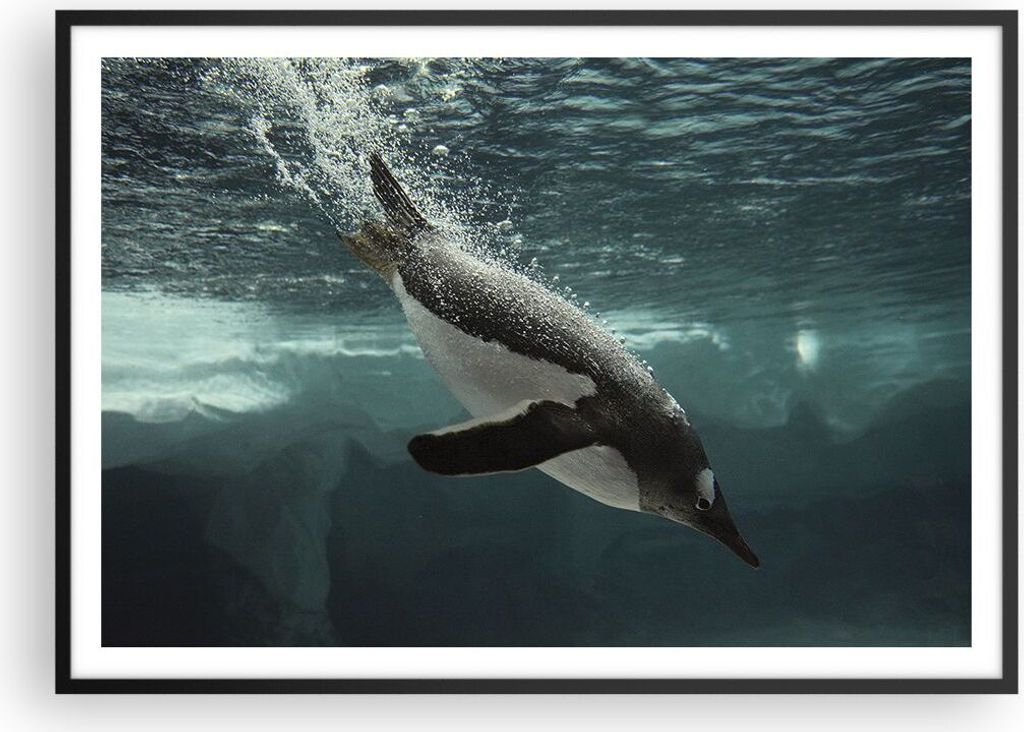 Gerahmtes Poster - Schwarzer Rahmen - Tauchen Pinguin Gletscher - 100x70 cm - Wand Bild - Wanddeko - Wandbilder - Wandposter - Bilderrahmen - Bilde...