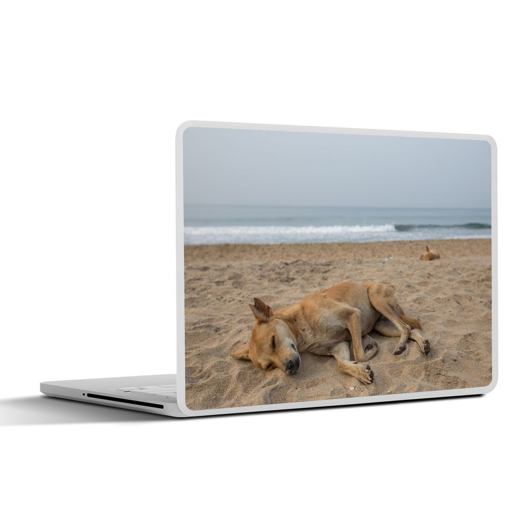 MuchoWow Laptop Aufkleber Sticker Cover Hunde schlafen am Strand 40x30 cm - Laptop Dekoration - Selbstklebend