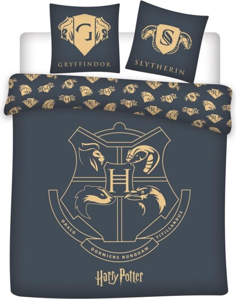 Povlak na přikrývku Harry Potter s logem - 240 x 220 cm Obrázek produktu 