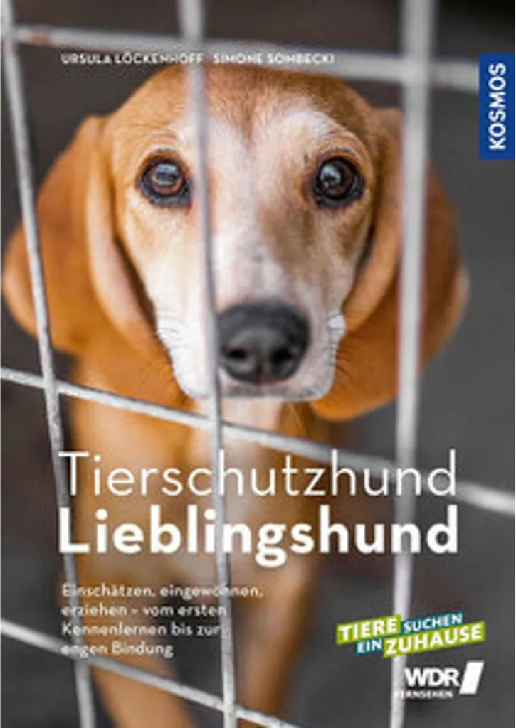 Médaille Chien de Refuge Tierschutzhund Lieblingshund en Acier Gravé