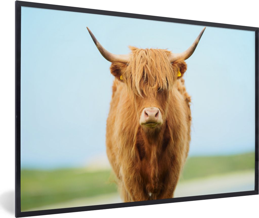 MuchoWow Gerahmtes Poster Schottischer Highlander - Haare - Gras 60x40 cm - Poster mit Schwarzem Bilderrahmen Wandposter Rahmen Foto Bilder - Pri...