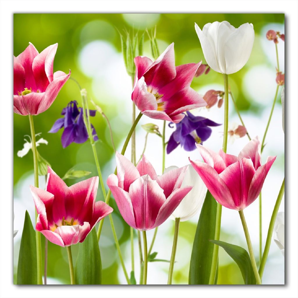 Wallario selbstklebende Möbelfolie/ Tischdecke für Innen und Außen, Größe: 70 x 70 cm - Blühende Blumen im Frühling in pink und weiß