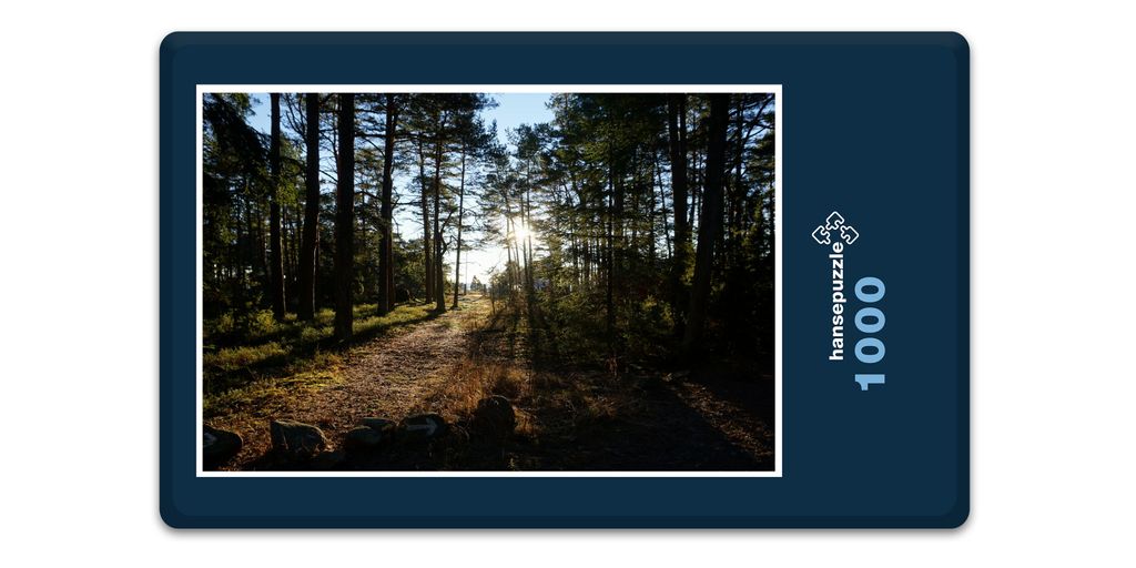 hansepuzzle 10163 - Wald Puzzle, 1000 Teile, Natur, 60,0 x 46,0cm mit hochwertiger Aufbewahrung, Kartonbox und wiederverschließbarem Beutel