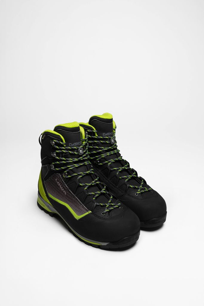 Lowa Herren Alpin Schuhe Alpine Pro GTX Schwarz