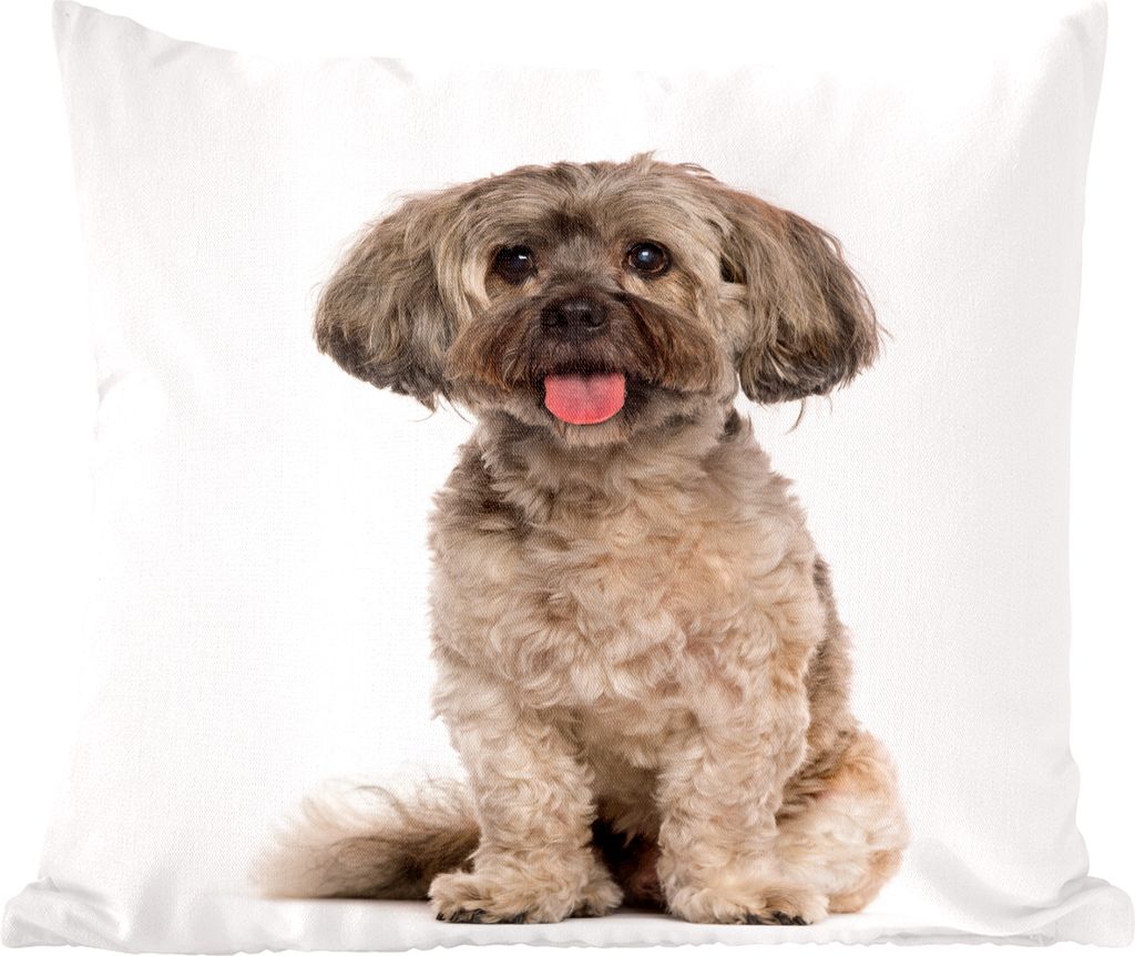 MuchoWow Zierkissen Sofakissen Wohnzimmer Dekokissen 40x40 cm Sitzender Shih Tzu Hund vor einem weißen Hintergrund - Sofakissenbezüge - ohne f...