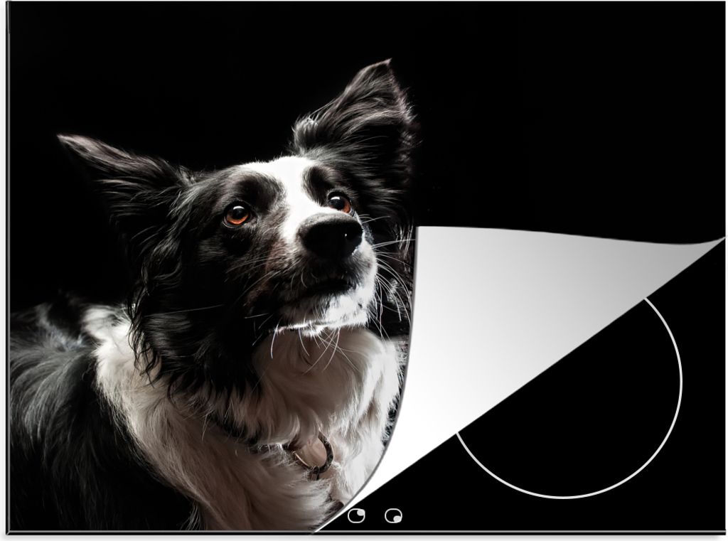 KitchenYeah Herdabdeckplatte Border Collie auf schwarzem Hintergrund , 59x51cm, Küche Deko, Glaskeramikfeld Herdabdeckung, Abdeckplatte fùr Koc...