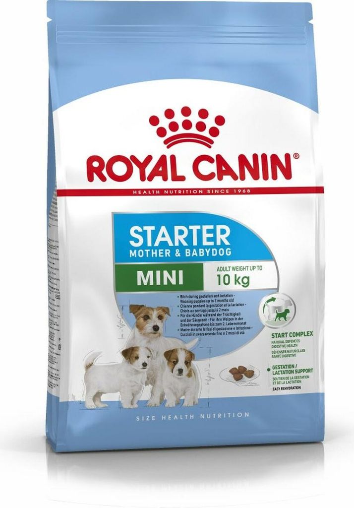 ROYAL CANIN sucha karma dla psa SHN Mini Starter M&B 1kg Zdjęcie produktu 