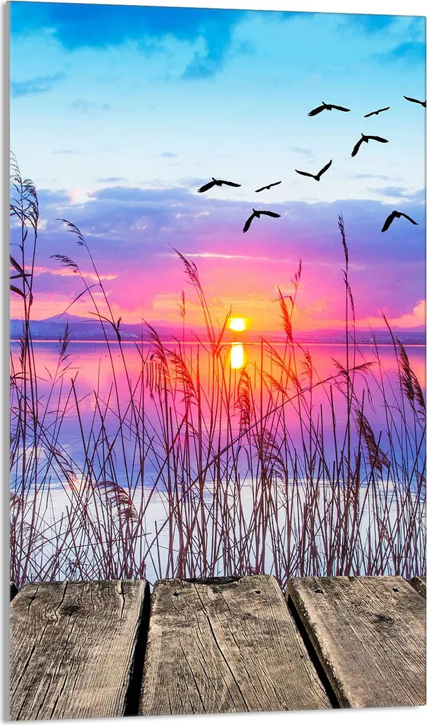 Copri Piano Cottura 30x52 Antigraffio - Vetro Temperato Sole