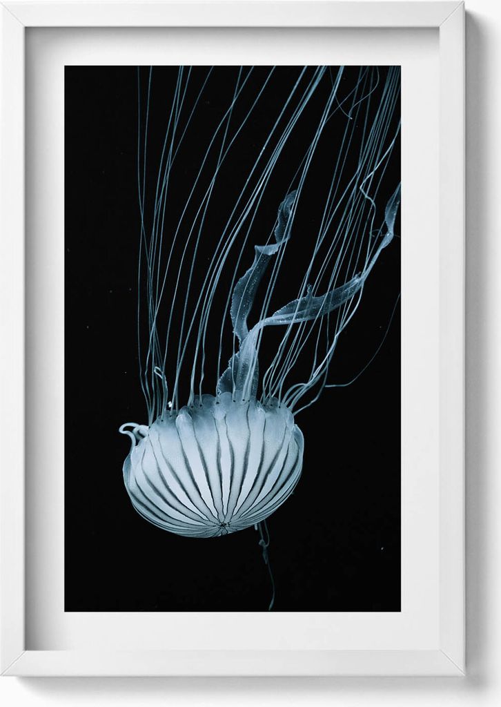 Quallen auf schwarzem Hintergrund– Wandbild mit Rahmen – Gerahmtes Bild – Wanddekoration – 40x60 cm – Weiß