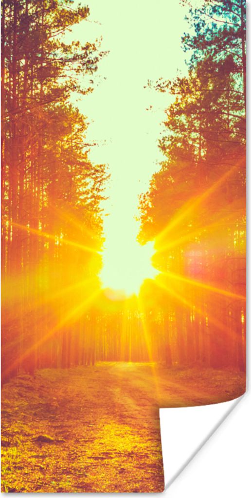 MuchoWow Poster Sonnenuntergang - Bäume - Wald - Natur 40x80 cm - Dekoration