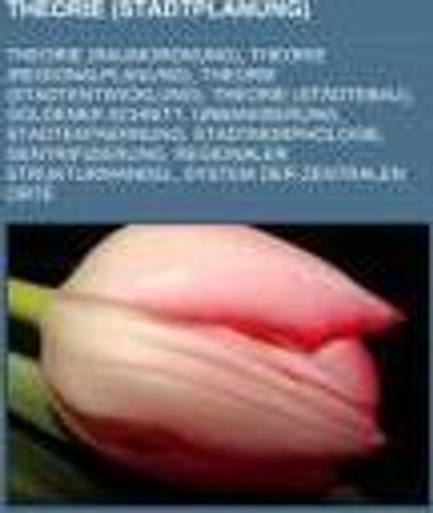 Theorie (Stadtplanung)