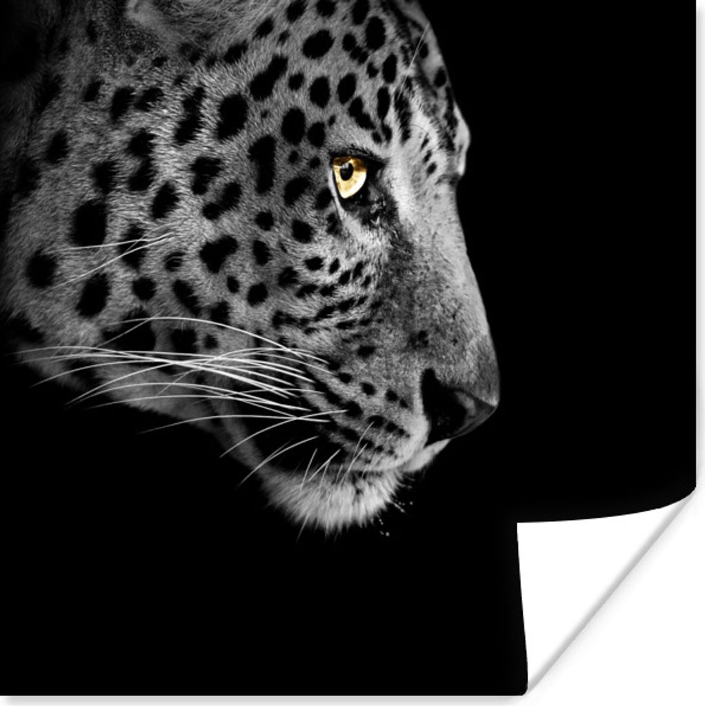 MuchoWow Poster Leopard - Schwarz - Weiß 50x50 cm - Wohnzimmerdekoration