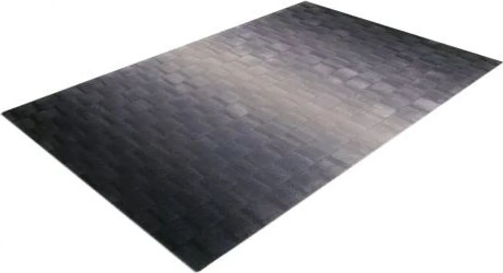 Skyline 1052-03 Argent : Tapis de Salon Design 140x200 cm Moderne