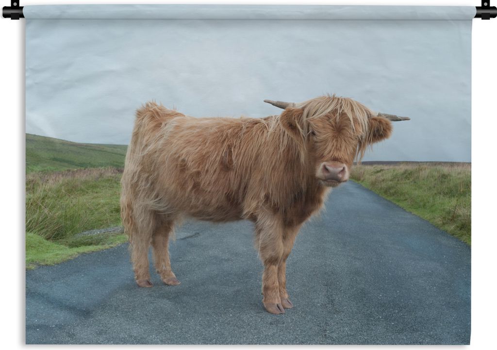 MuchoWow Wandteppich Wandbehang Scottish Highlander - Straße - Gras 120x90 cm Tapisserie Dekoration Wandtuch - Wohnen - Aufhänger für die Wand
