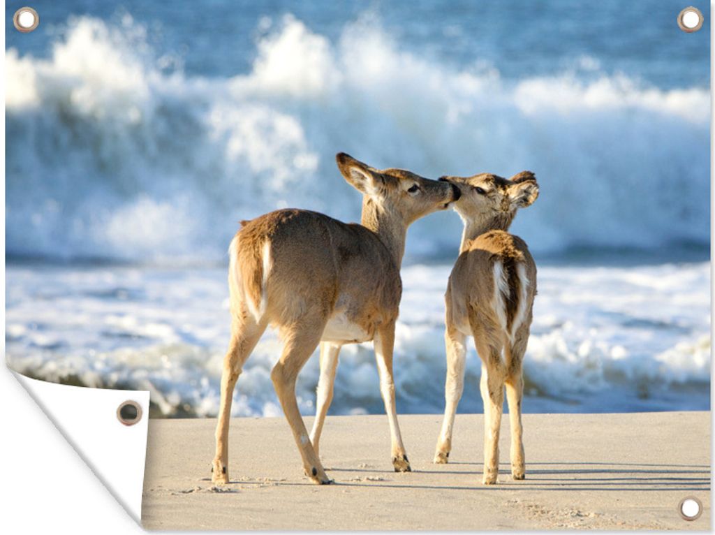 MuchoWow 80x60 cm Outdoor-Poster Gartendeko Sichtschutz Garten Poster für den Garten Hirsche - Meer - Wasser - Sand