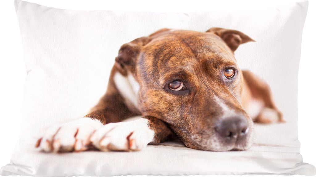 MuchoWow Zierkissen Sofakissen Wohnzimmer Dekokissen 50x30 cm Liegender Hund Fotodruck - Wohnzimmerdekoration - Polster mit Photo