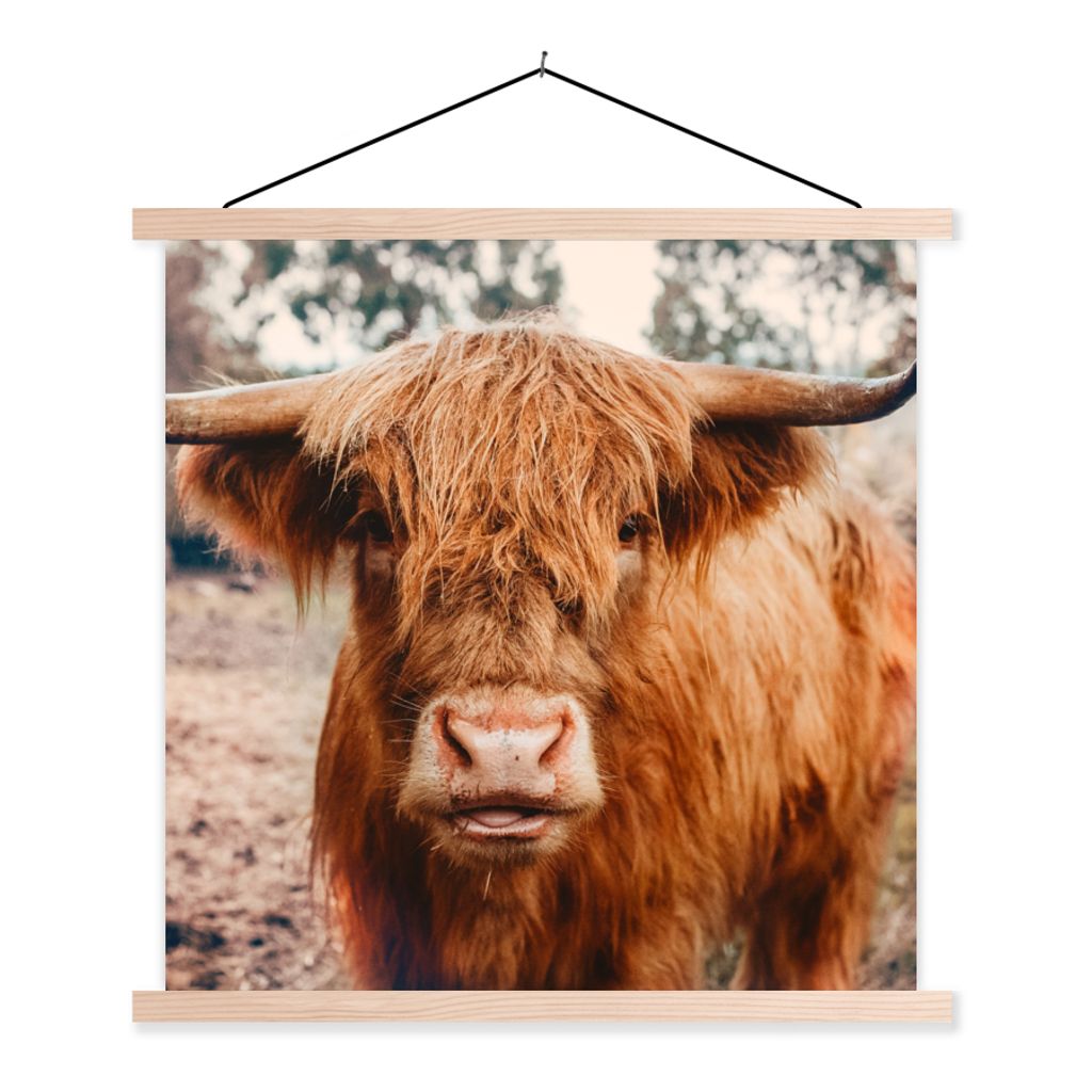 MuchoWow Textilposter Kuh - Schottischer Hochländer - Hörner - Braun - Landschaft 120x120 cm mit holzfarbenen Rahmen - Textil-Poster