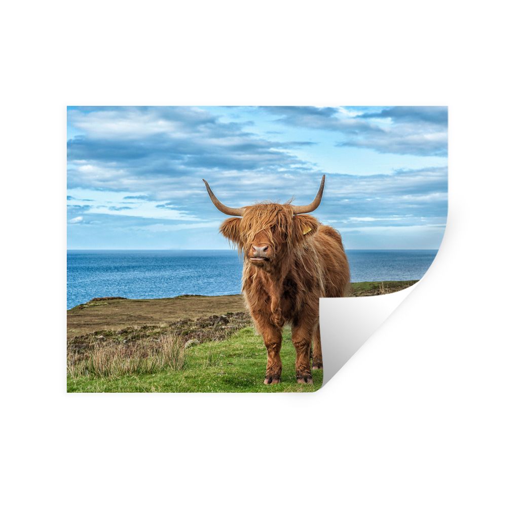 MuchoWow Wandtattoo Wandsticker Wandaufkleber Schottischer Highlander - Wasser - Hörner 160x120 cm Selbstklebend und Repositionierbar - Selbstkl...
