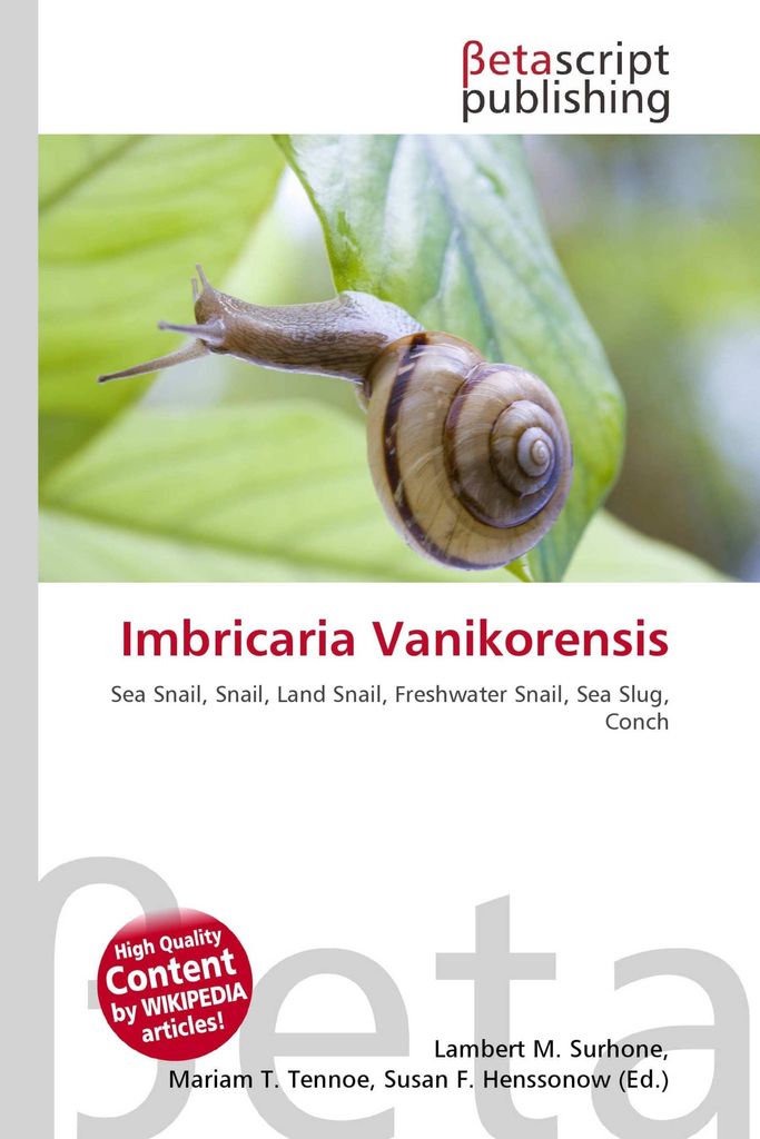 Imbricaria Vanikorensis