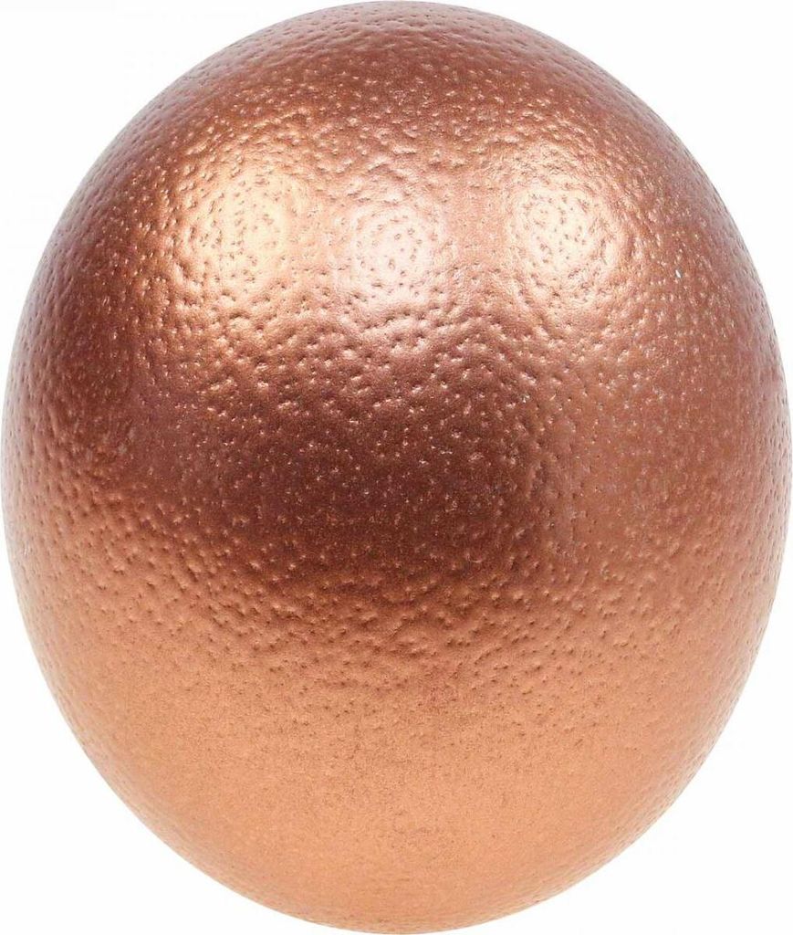 Straußenei Kupfer Deko Ei Ausgeblasen Osterdeko 12cm