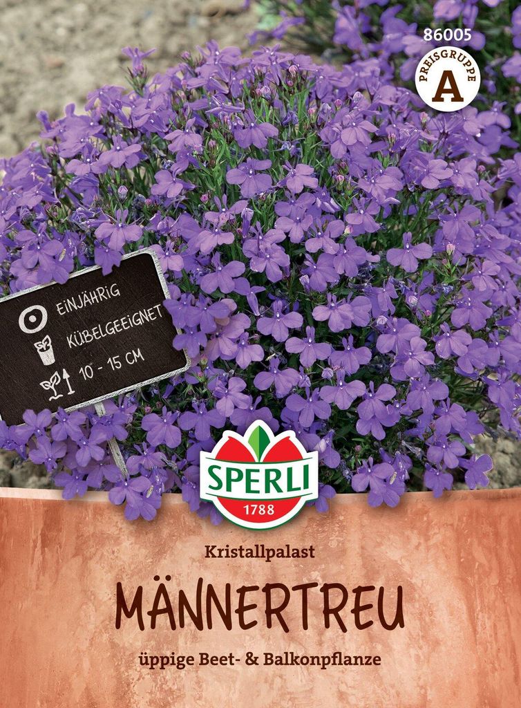 Artikelbild 2 von 'Männertreu SPERLI's Tiefblauer Kristallpalast' aus der Kategorie Blumensamen