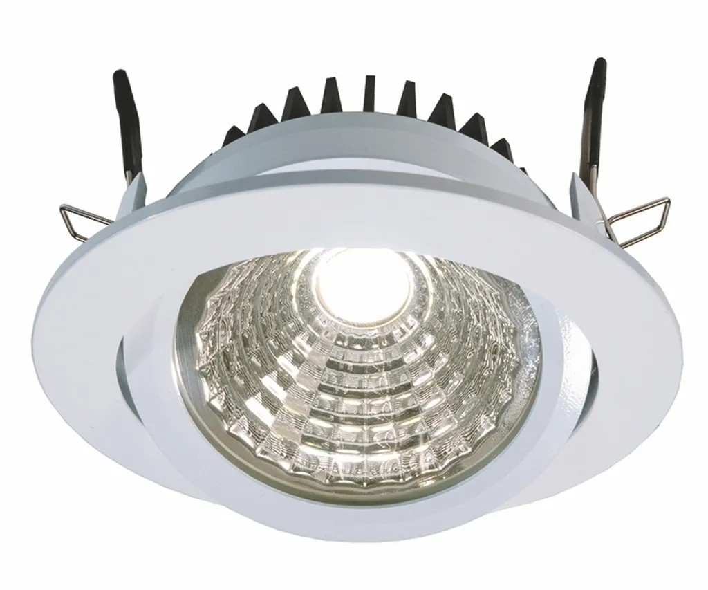Kapego COB Downlight orientable 12W blanc neutre 4000K spot LED 350mA