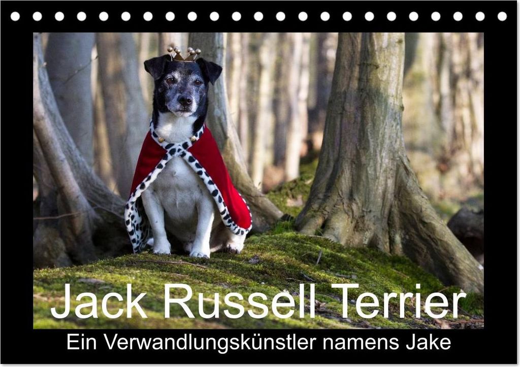 Jack Russell Terrier.....Ein Verwandlungskünstler namens Jake (Tischkalender 2027 DIN A5 quer), CALVENDO Monatskalender