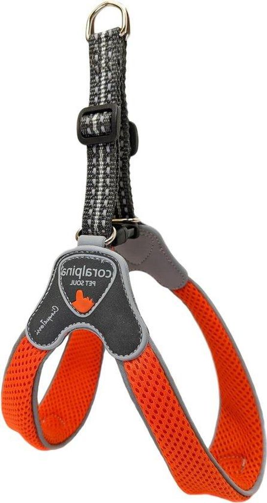 Leichtes, luftdurchlässiges Hundehaus für kleine bis mittelgroße Hunde - Orange - 4. Modellgröße