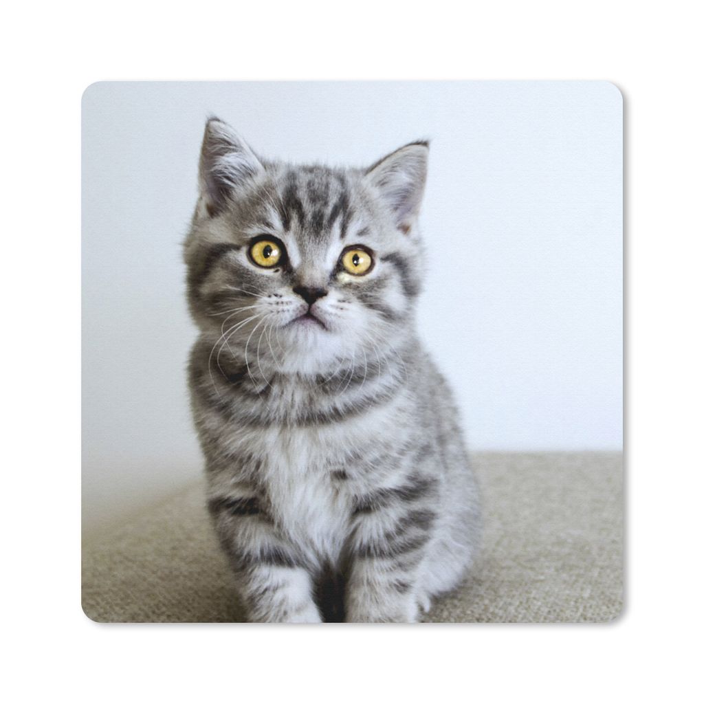 MuchoWow Mauspad Mousepad Kätzchen - Augen - Gelb - Mädchen - Kinder - Jungen - Kinder 20x20 cm - Mousepads - Maus Mat - Pad - Mausunterlage - ...