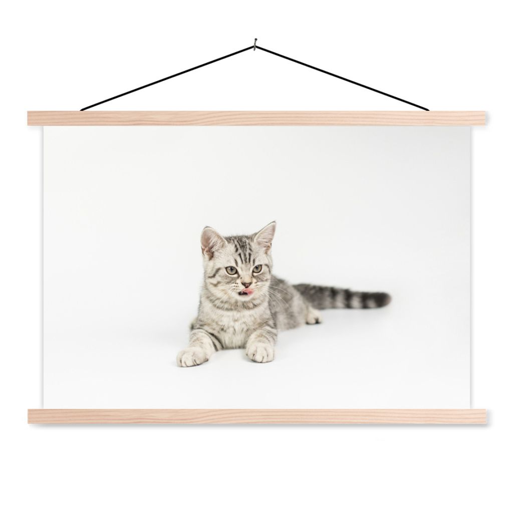 MuchoWow Textilposter Kitten - Weiß - Sohle - Mädchen - Kinder - Jungen - Kind 120x80 cm mit holzfarbenen Rahmen - Aufhängeset