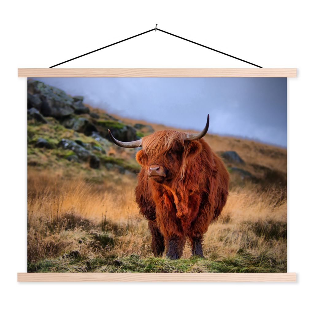 MuchoWow Textilposter Schottische Highlander - Gras - Steine 60x45 cm mit holzfarbenen Rahmen - Bild