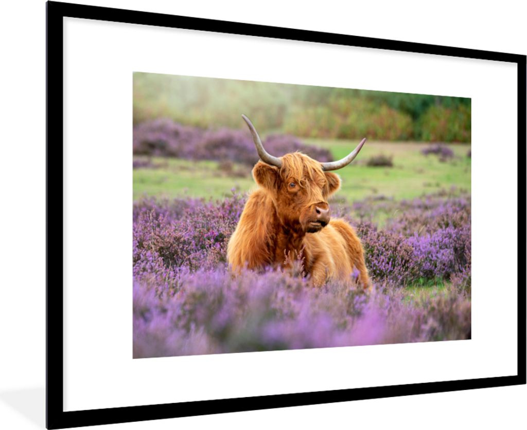 MuchoWow MuchoWow Gerahmtes Poster Schottisches Hochlandrind - Braun - Büsche 90x60 cm - Poster mit zchwarzem Bilderrahmen - Wanddekoration - ...