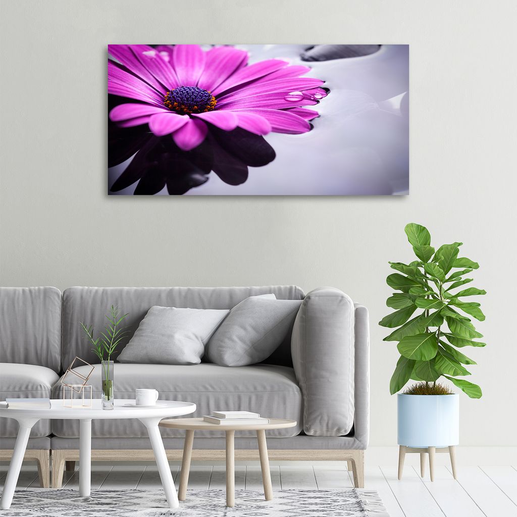 Tulup Leinwandbild -100x50 cm - Wandkunst - Drucke auf Leinwand - Leinwanddruck - Blumen & Pflanzen - Rosa - Gerbera
