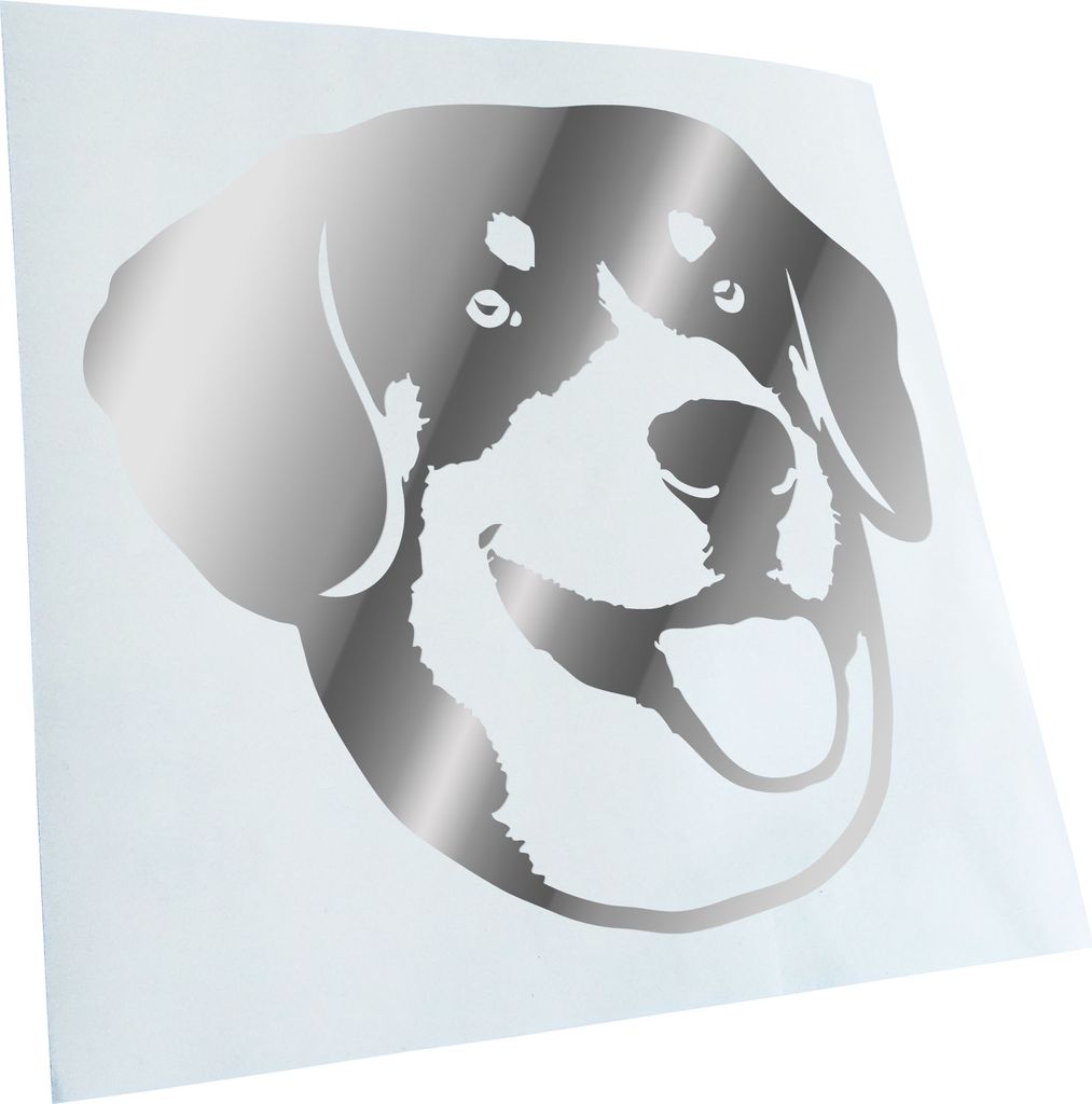 Kiwistar - Autoaufkleber - English bucher mountain dog - Chrom - 40x36cm - Aufkleber für Auto, Laptop, Fahrrad, LKW, Motorrad mehrfarbig JDM Decal...