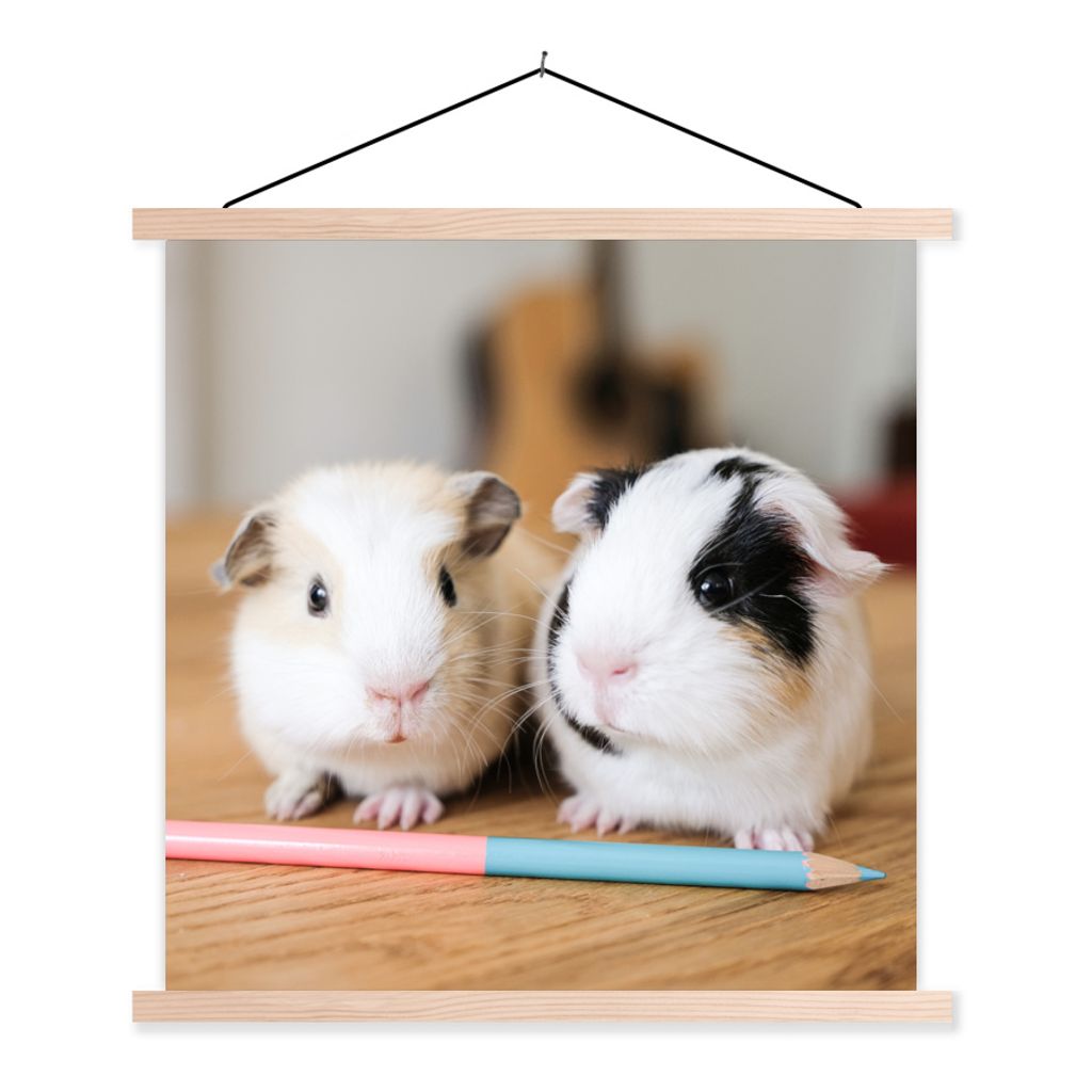 MuchoWow Textilposter Entzückende Baby-Meerschweinchen 40x40 cm mit holzfarbenen Rahmen - Posterleiste