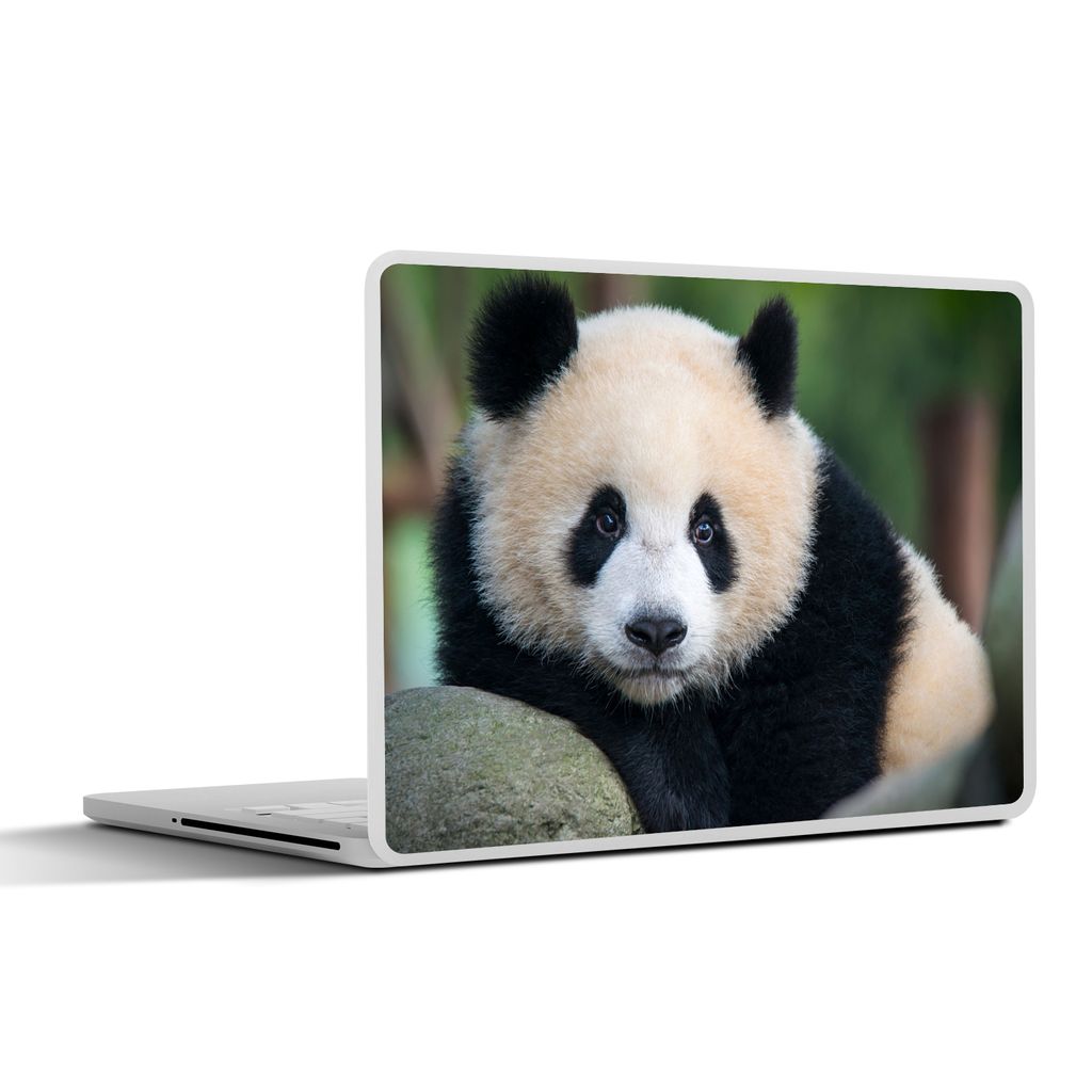MuchoWow Laptop Aufkleber Sticker Cover Panda - Wildtiere - Porträt - Stein 30x22 cm - Laptop-Sticker