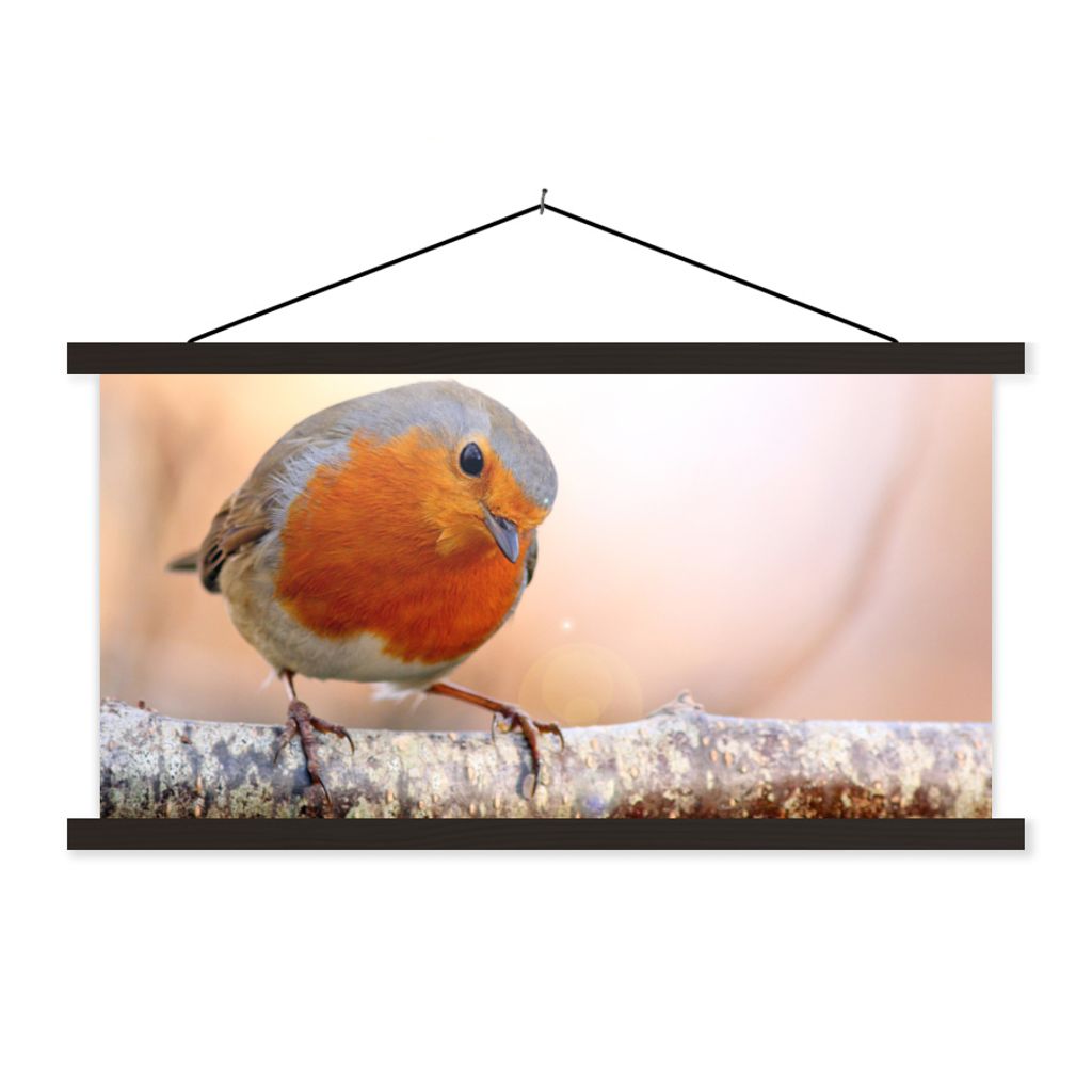 MuchoWow Textilposter Rotkehlchen - Ast - Baum 60x30 cm mit schwarzem Rahmen - Textilien