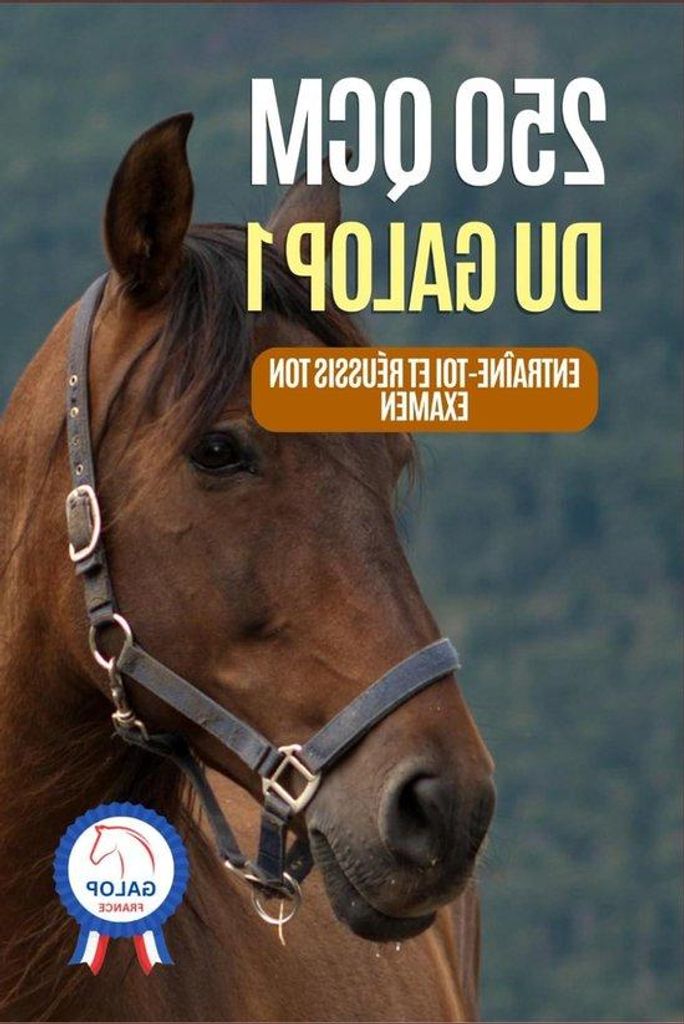 Reitübungen Galop 1, 250 Fragen, Trainingsbuch