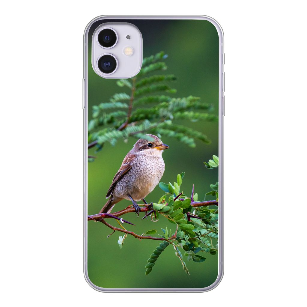 MuchoWow® Handyhülle Schutzhülle Hülle für iPhone 11 Vogel Produktbild 