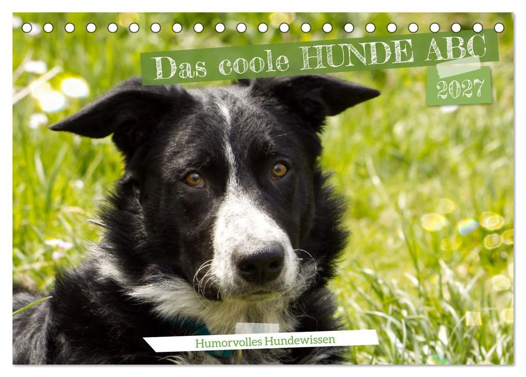Das coole Hunde ABC (Tischkalender 2027 DIN A5 quer), CALVENDO Monatskalender