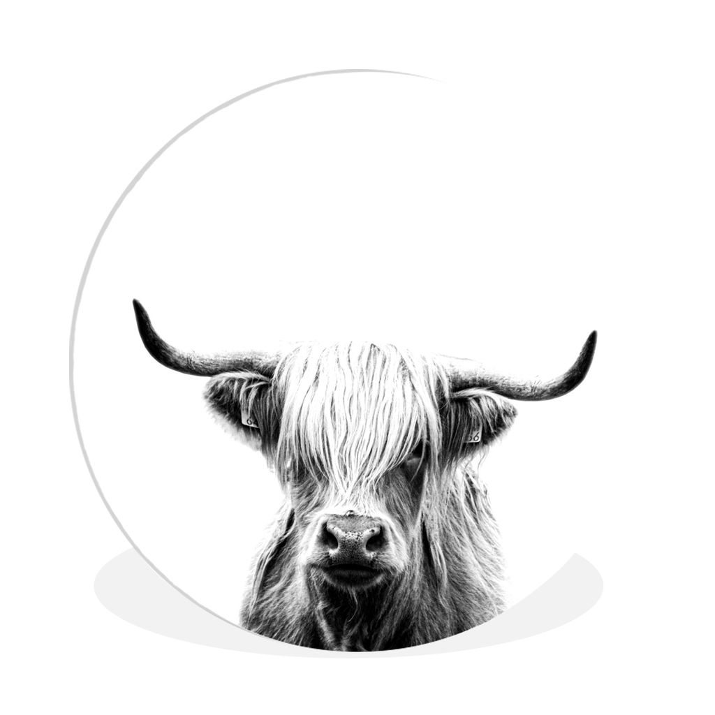 MuchoWow Rundes Wandbild - Runde Bilder Schottischer Highlander - Horn - Schwarz - Weiß Ø 90 cm Kreis Wanddekoration Kunststoff - Wandkreis - W...