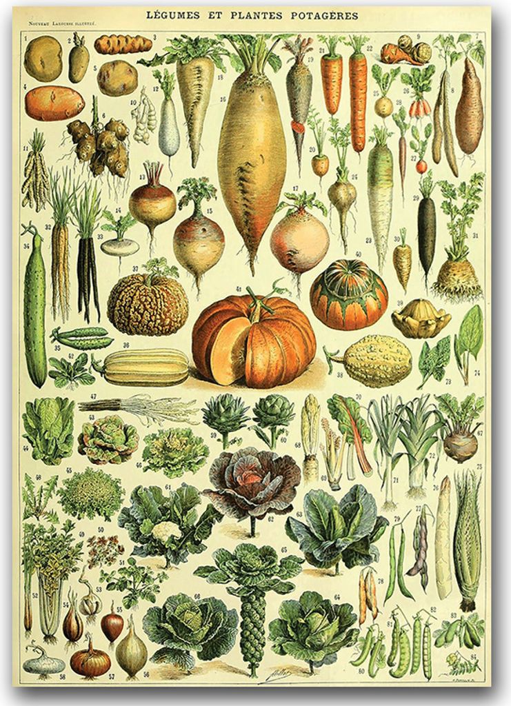 Poster - Canvas - Leinwand - 59,4 cm x 84,1 cm - Fotoposter - Leinwandkunst - Druckerei im Jahre 1909 Adolphe Millot