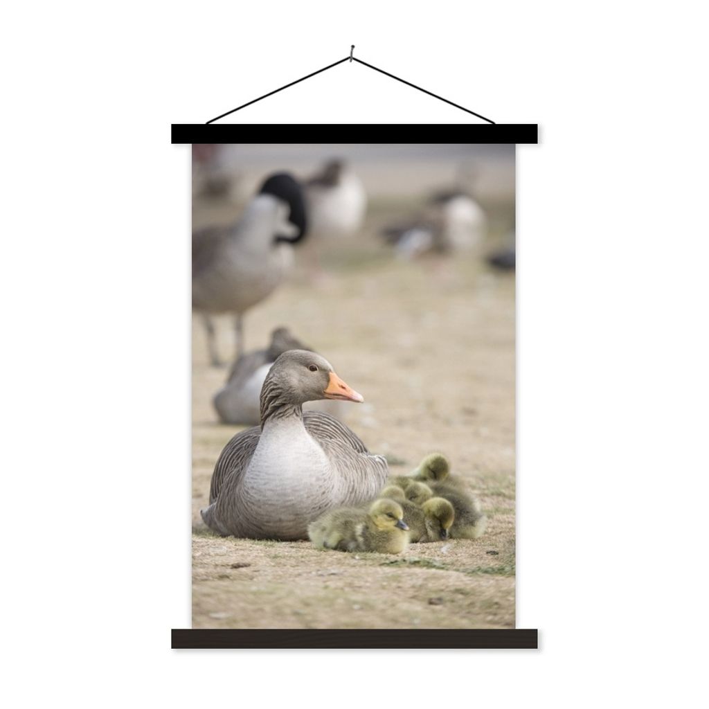 MuchoWow Textilposter Gans - Familie - Küken 120x180 cm mit schwarzem Rahmen - Fotos