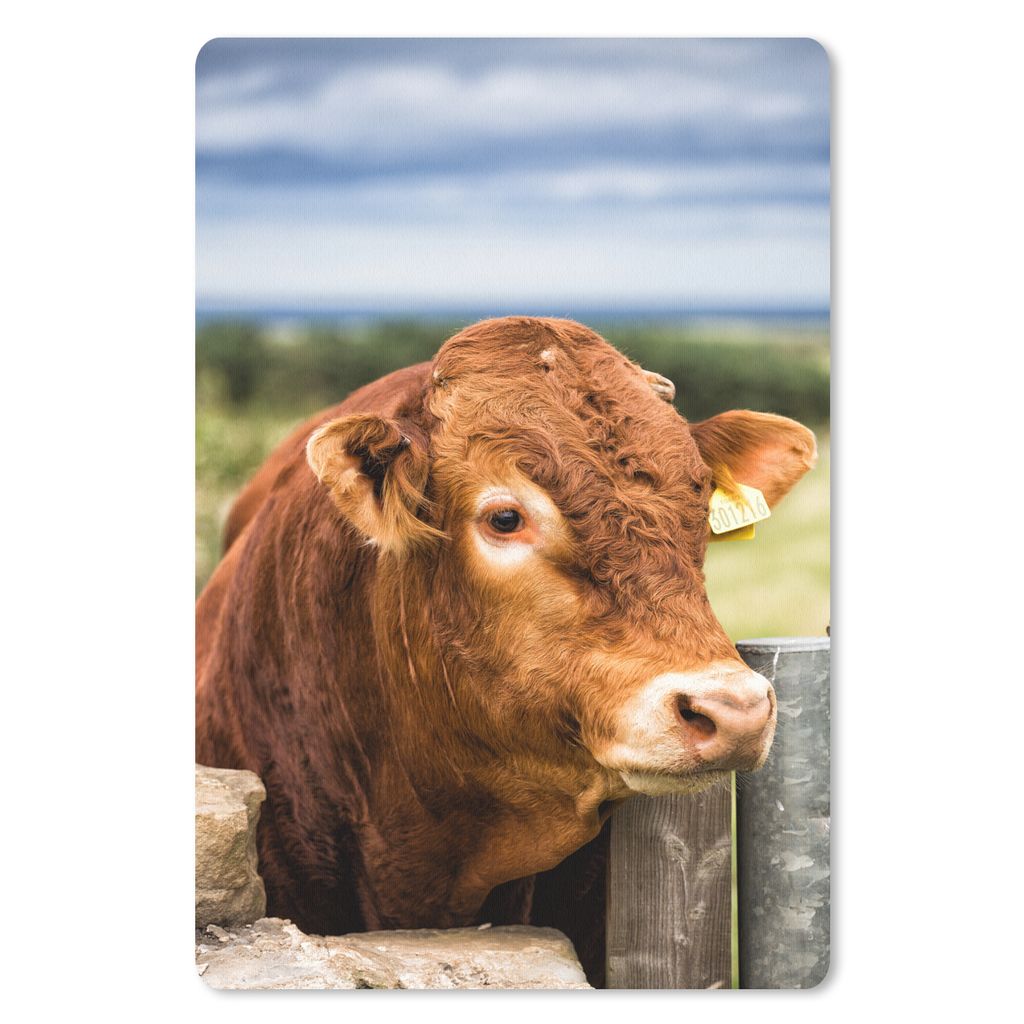 MuchoWow Mauspad Mousepad Schottischer Highlander - Berg - Zaun 40x60 cm - Mousepads - Maus Mat - Pad - Mausunterlage - Schreibtisch Accesoire